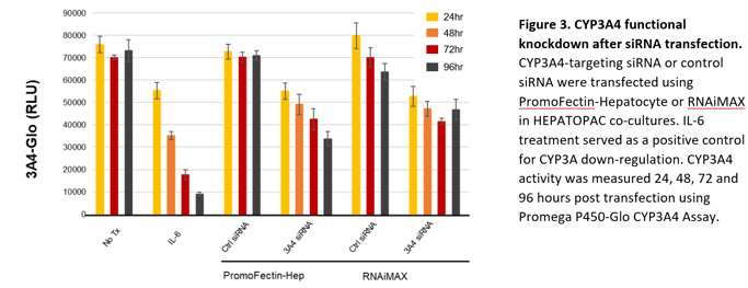 How Do You Silence A Gene Using Sirna In Hepatopac Co Cultures - 