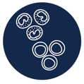 PBMC Icon