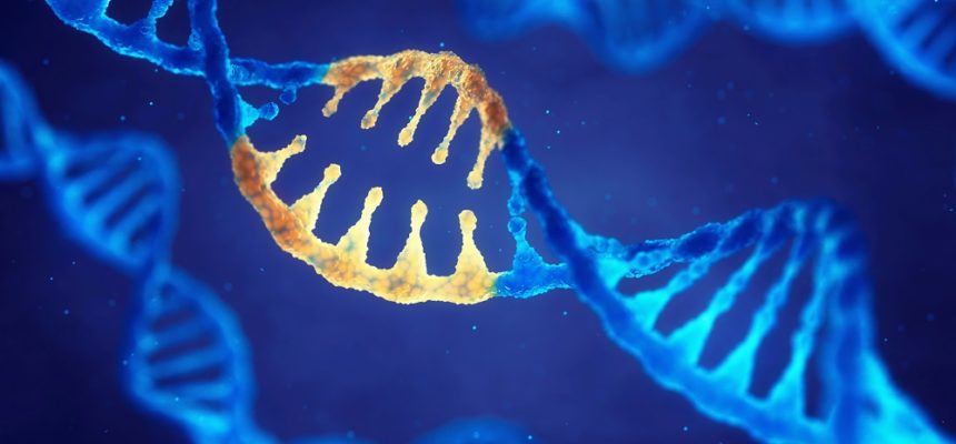 shutterstock_585361916-860x400